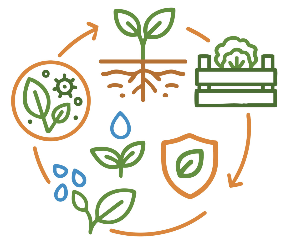 Agrodis-Infographic